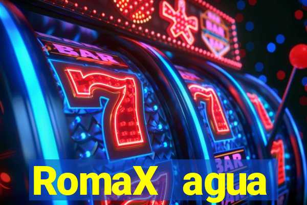 RomaX agua sanitaria fispq agua sanitaria romax